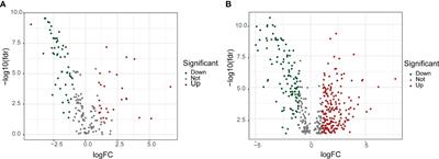 Prognostic significance and identification of basement membrane-associated lncRNA in bladder cancer